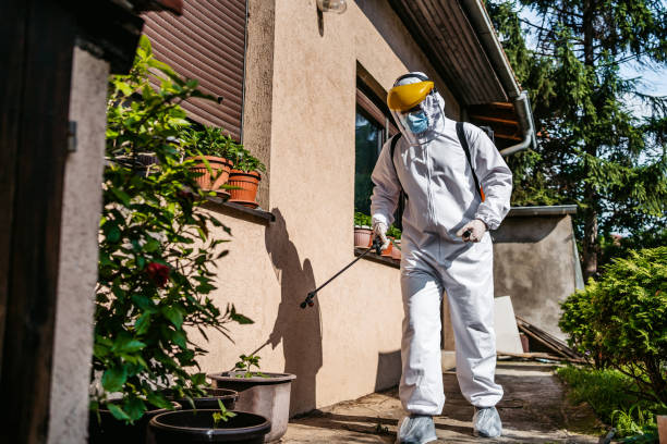 Best Mosquito Control Services  in Tipp City, OH