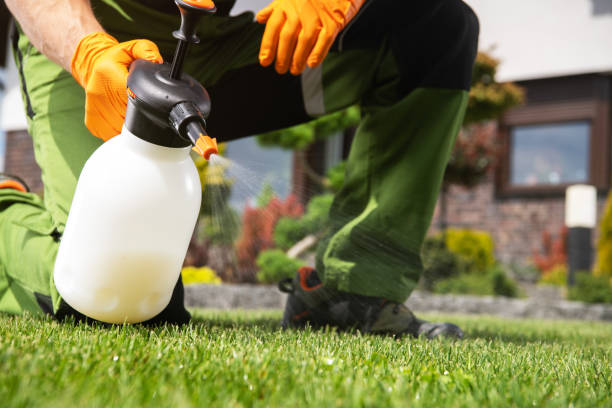 Best Termite Control Services  in Tipp City, OH