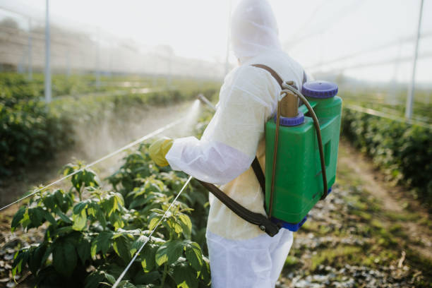 Best Ant Control Services  in Tipp City, OH